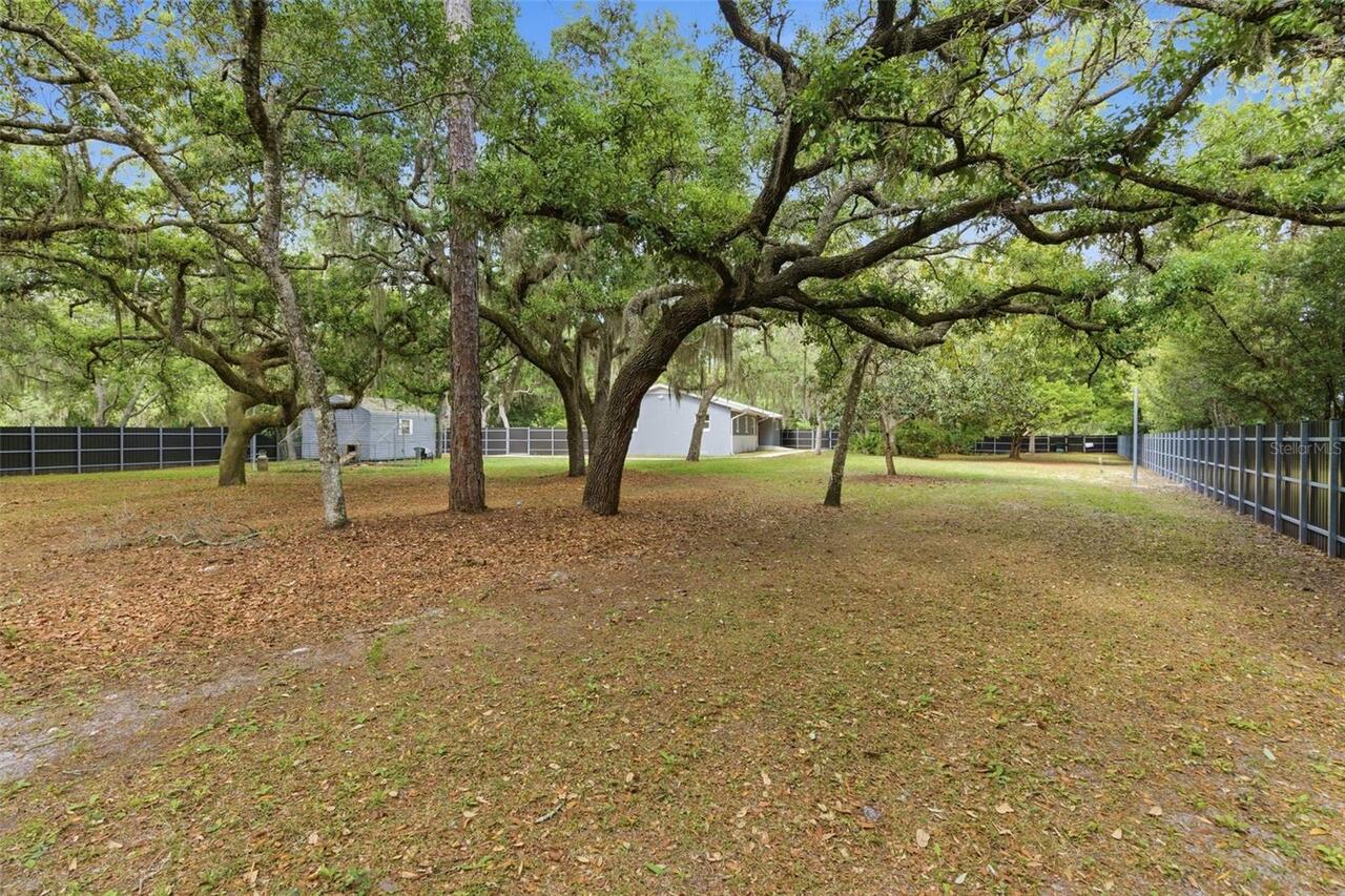 Listing Photo 20