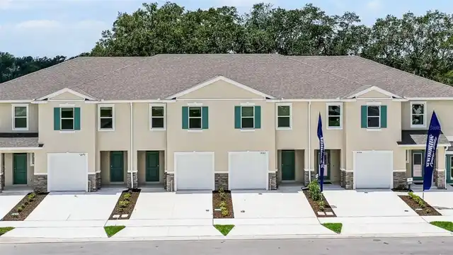 Orlando Real Estate
