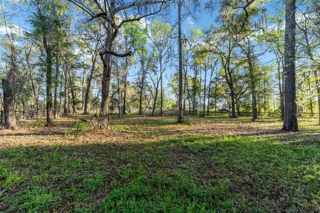 Listing Photo 73