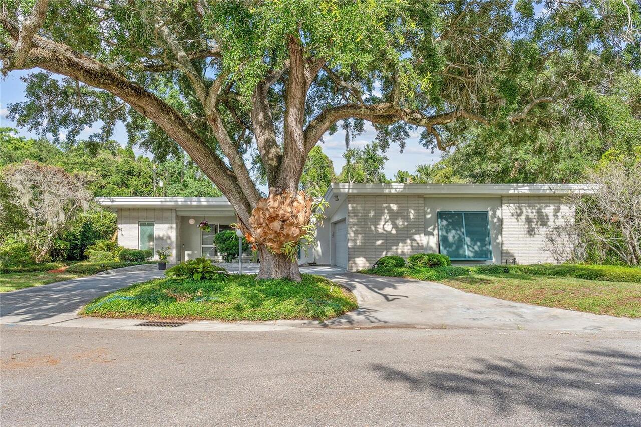 Winter Park Real Estate