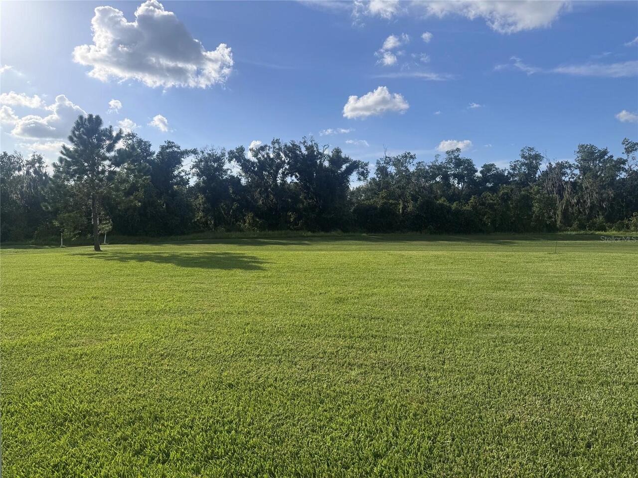 Listing Photo 42