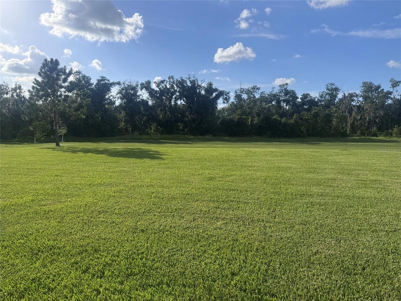 Listing Photo 54