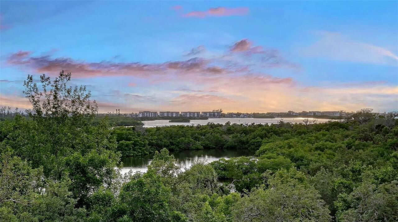 Osprey Real Estate