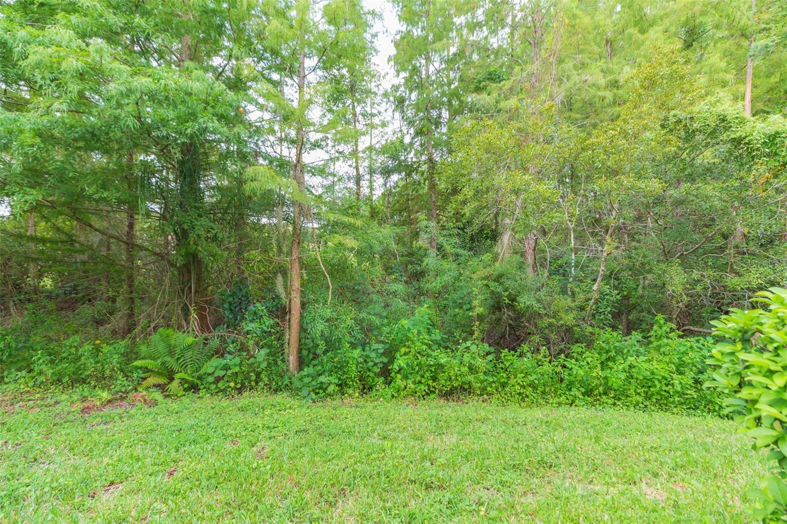 Listing Photo 53