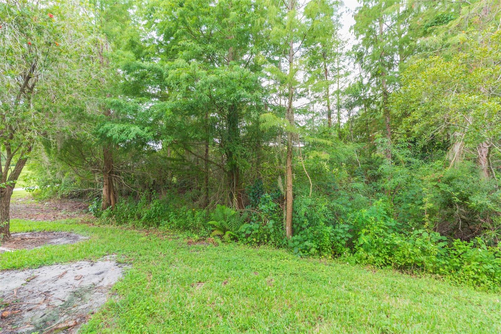 Listing Photo 54