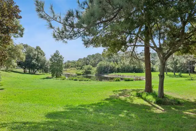 Listing Photo 64
