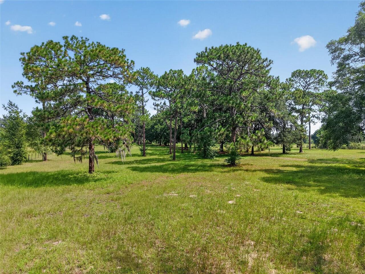 Listing Photo 9