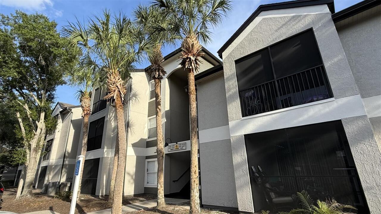 Orlando Real Estate