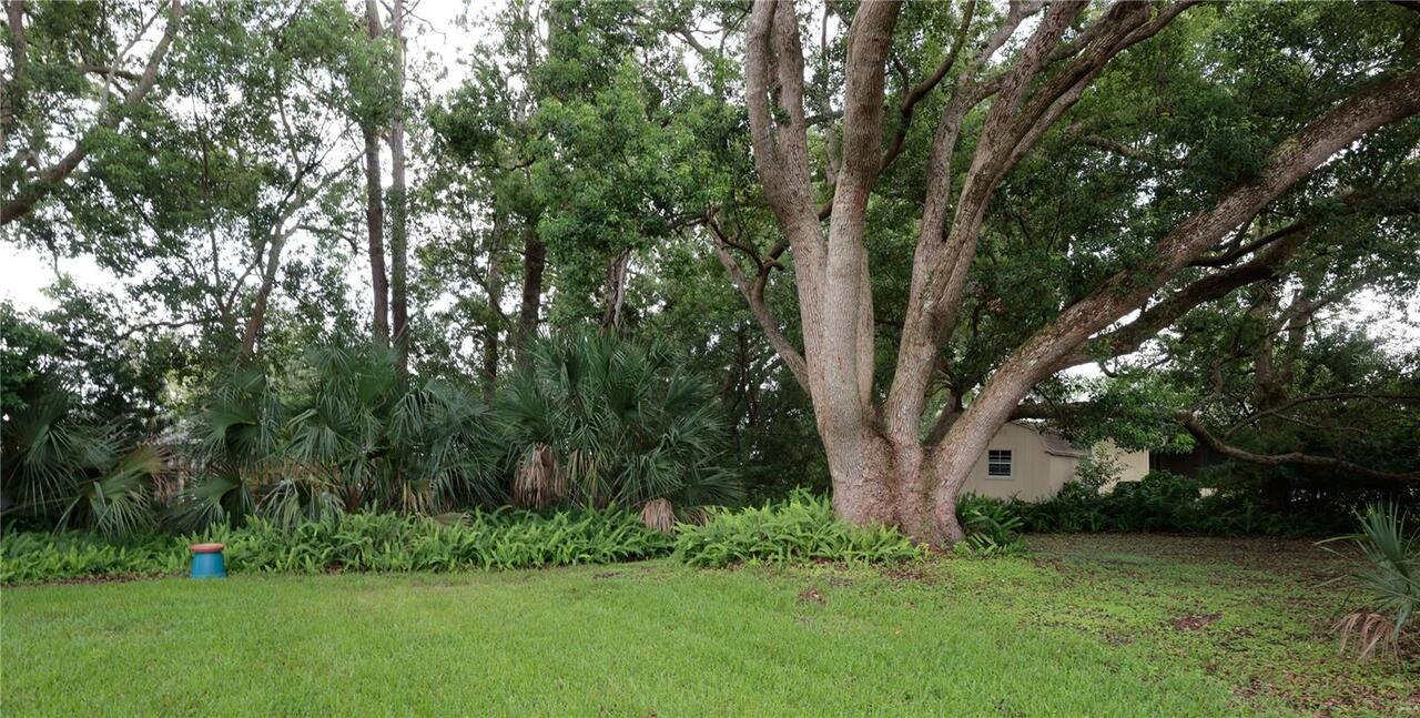 Listing Photo 18