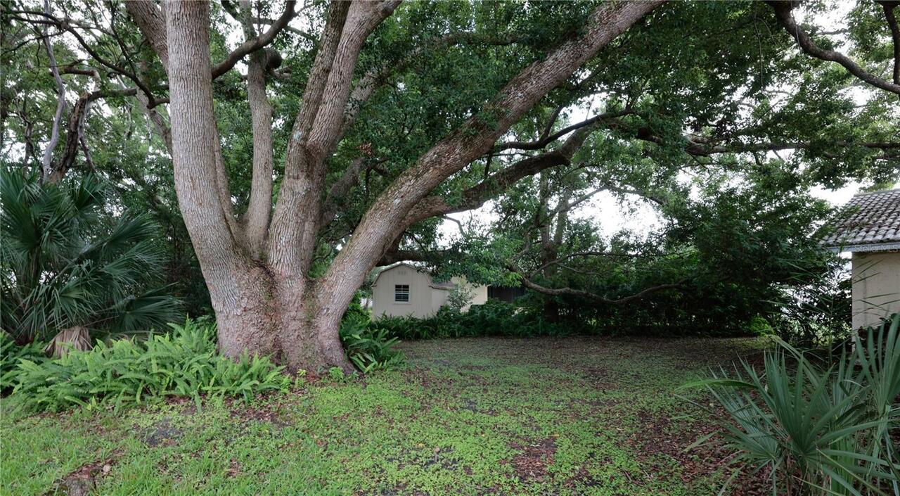 Listing Photo 19