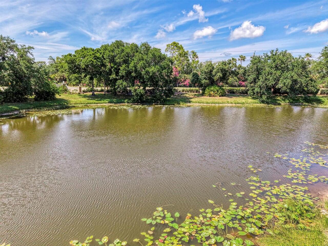 Listing Photo 62