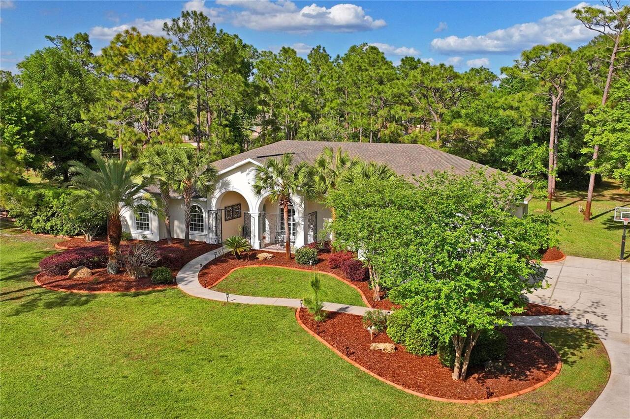 New Port Richey Real Estate