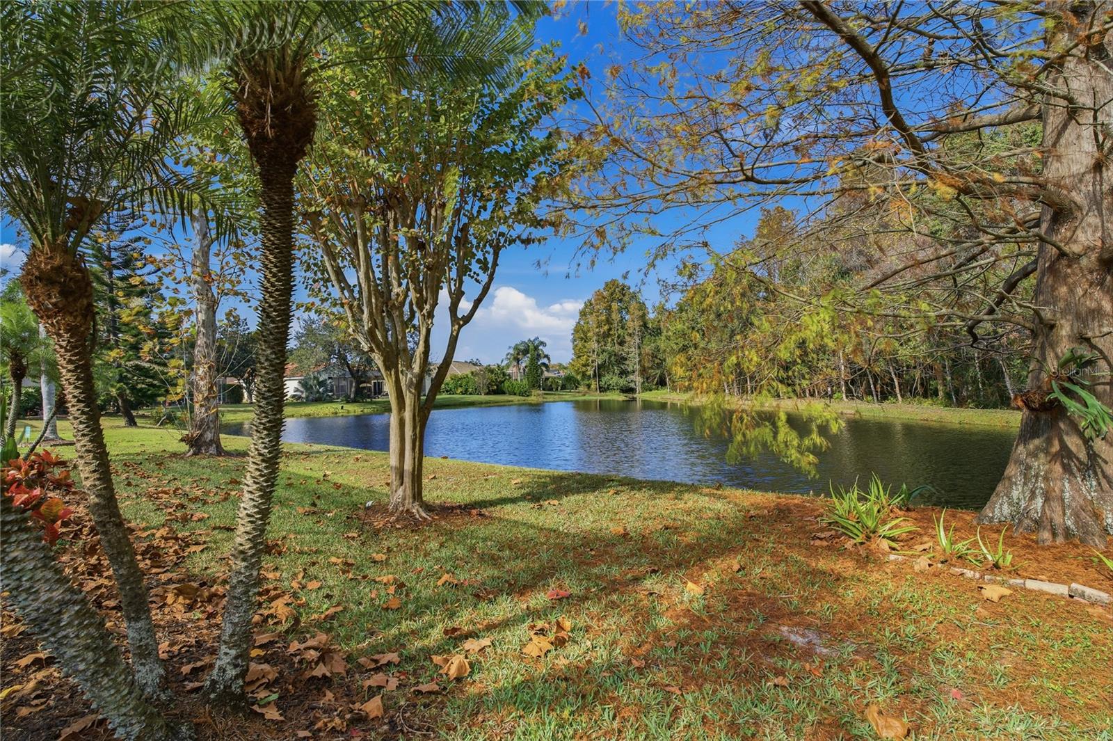 Listing Photo 31