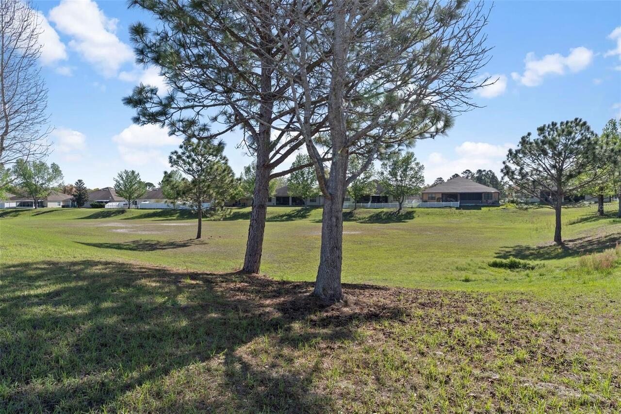 Listing Photo 29