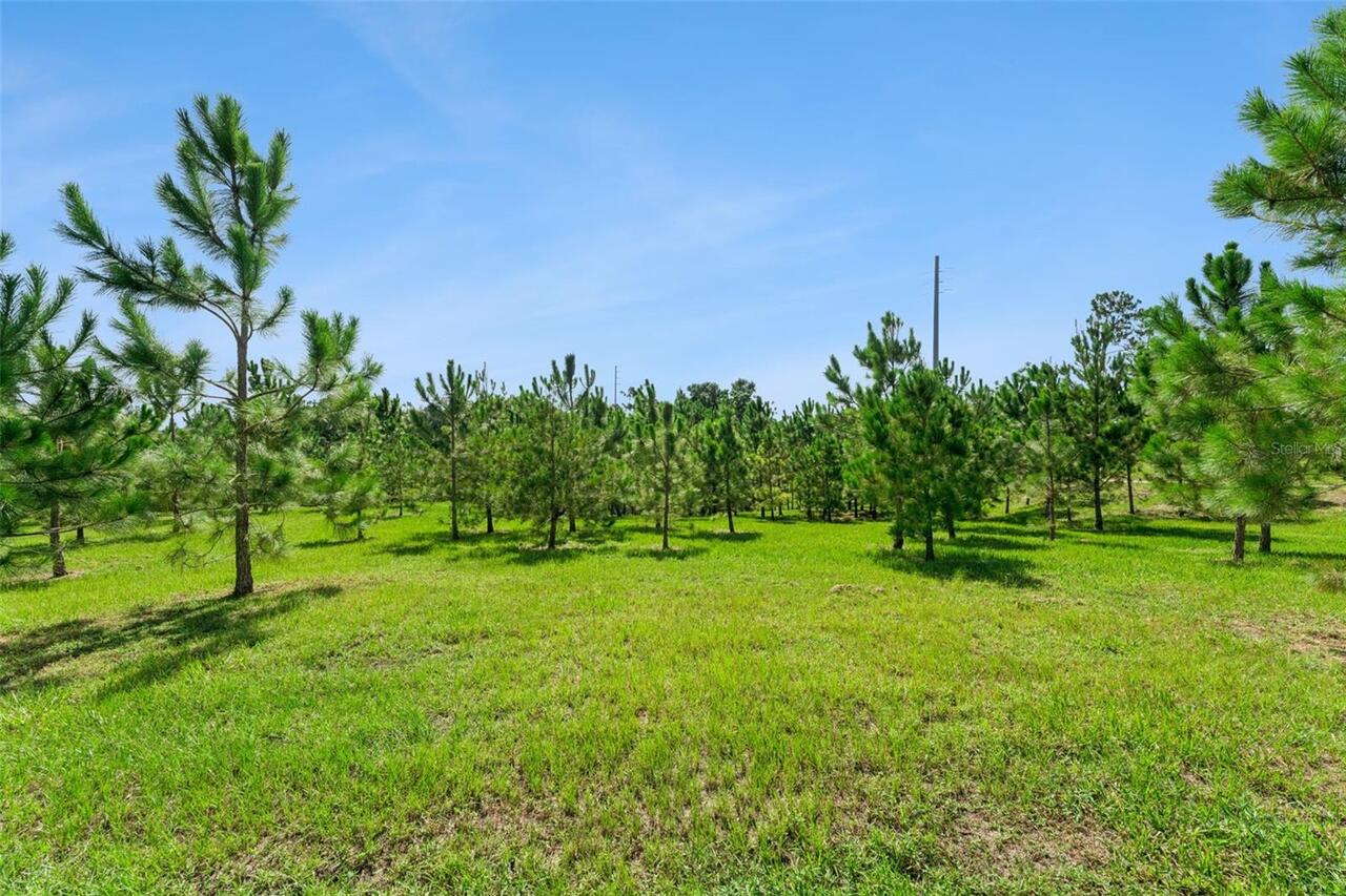 Listing Photo 42