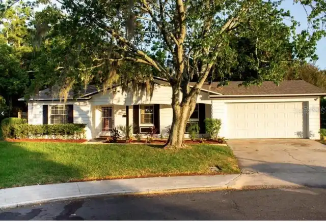Orlando Real Estate