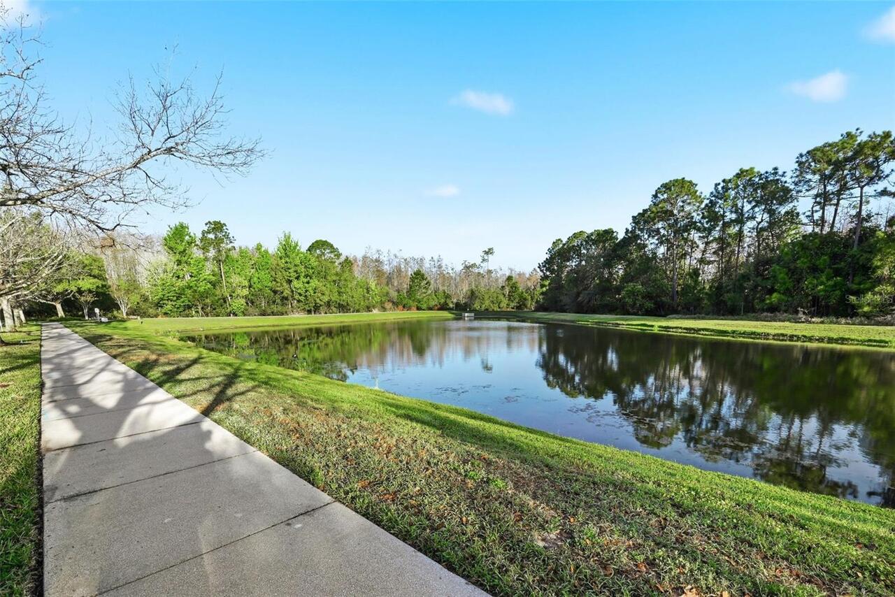Listing Photo 45