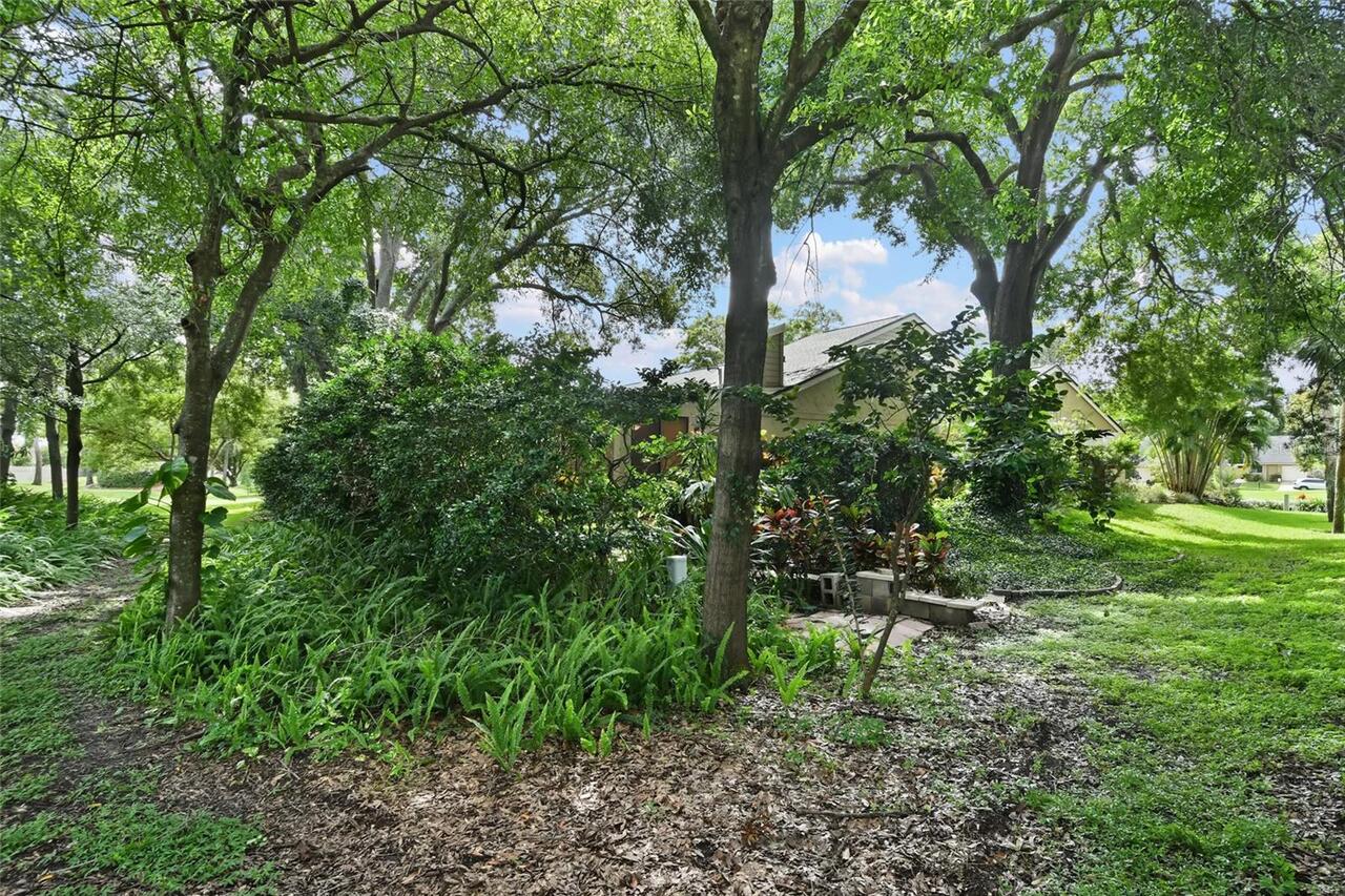 Listing Photo 45