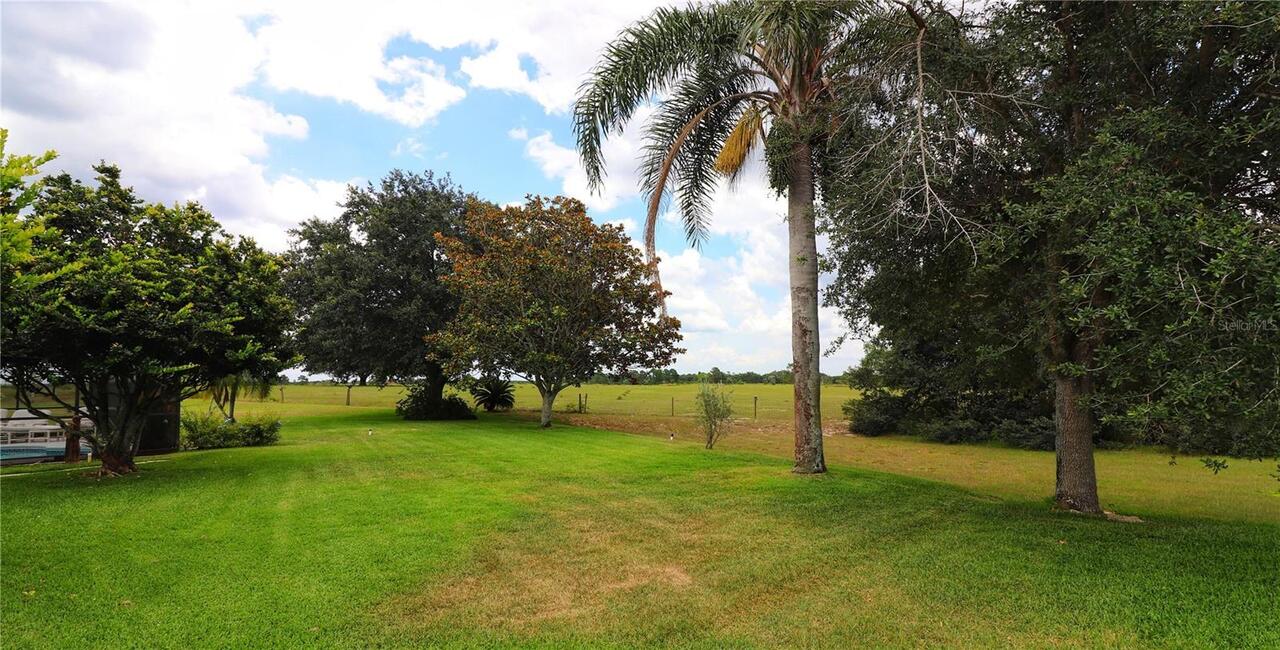 Listing Photo 24