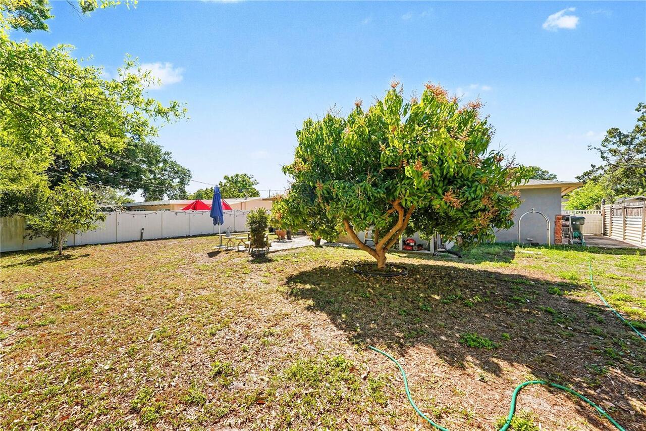 Listing Photo 19