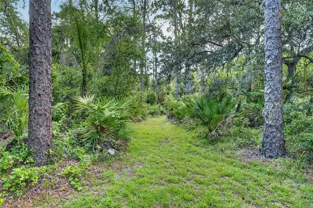 Listing Photo 32