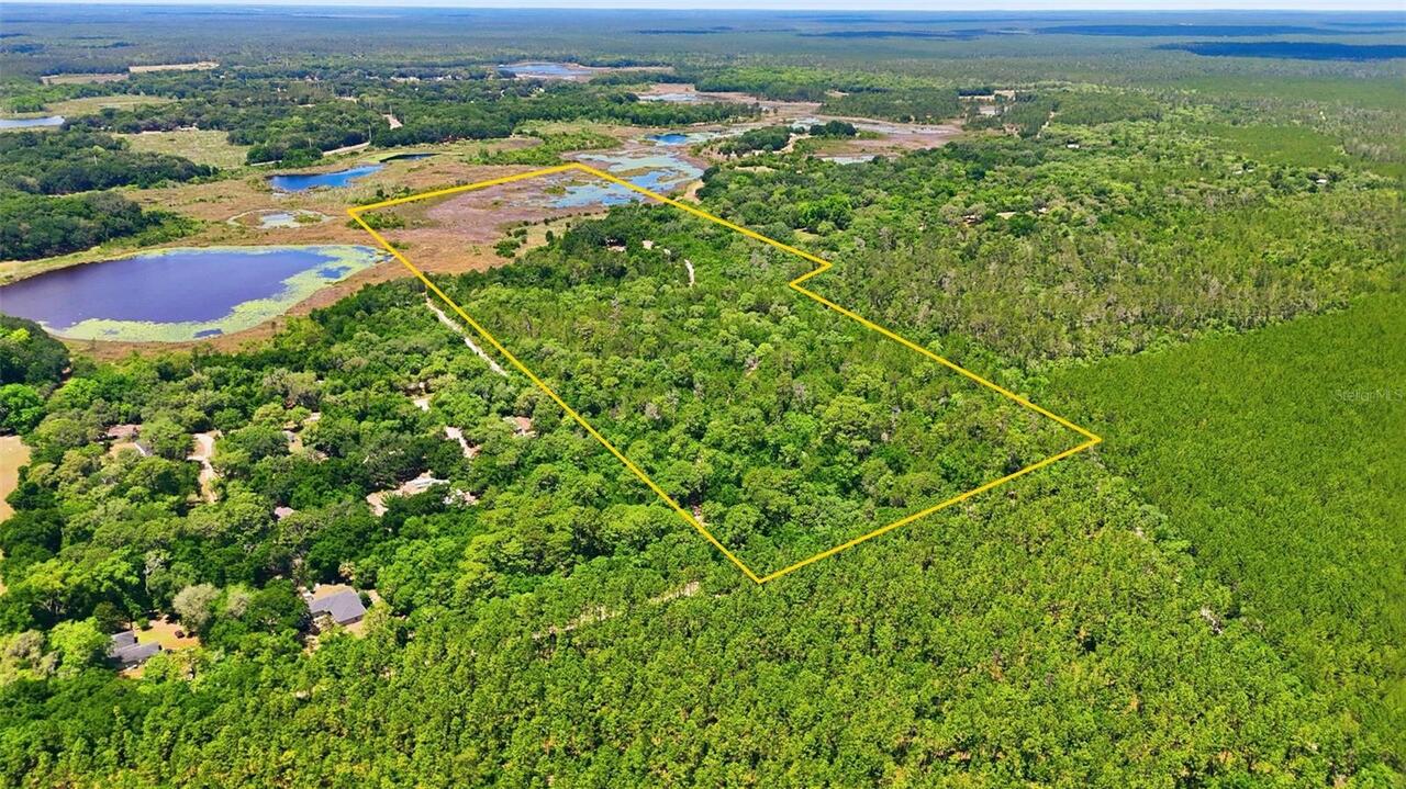 Umatilla Real Estate