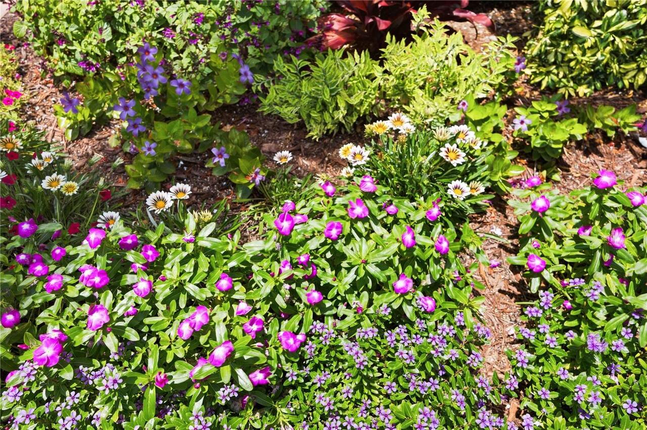 Listing Photo 67