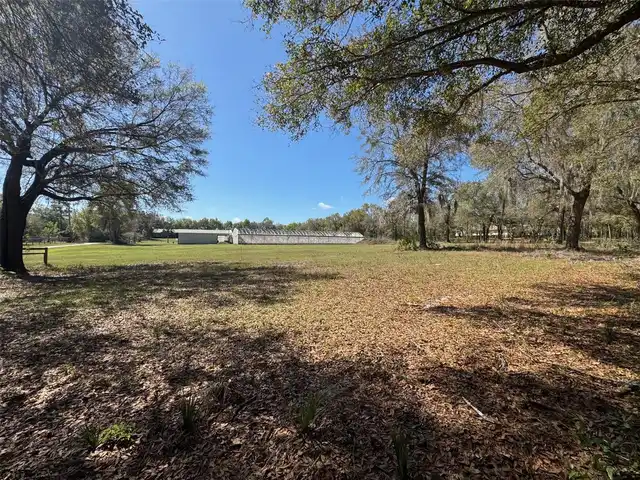 Listing Photo 10