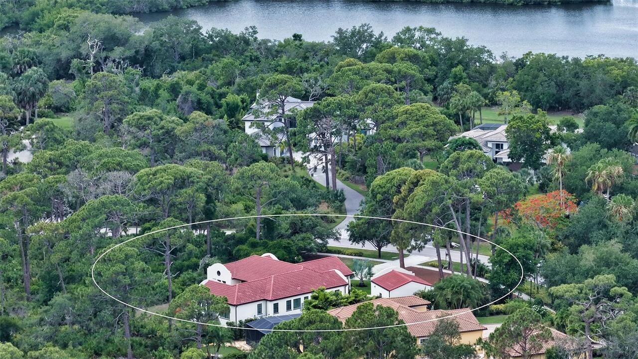 Osprey Real Estate