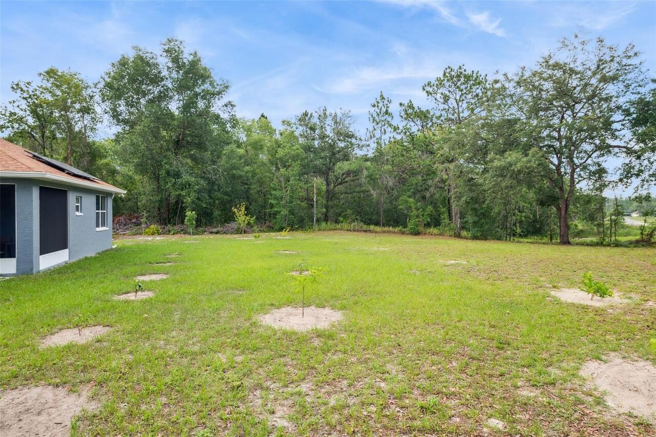Listing Photo 32