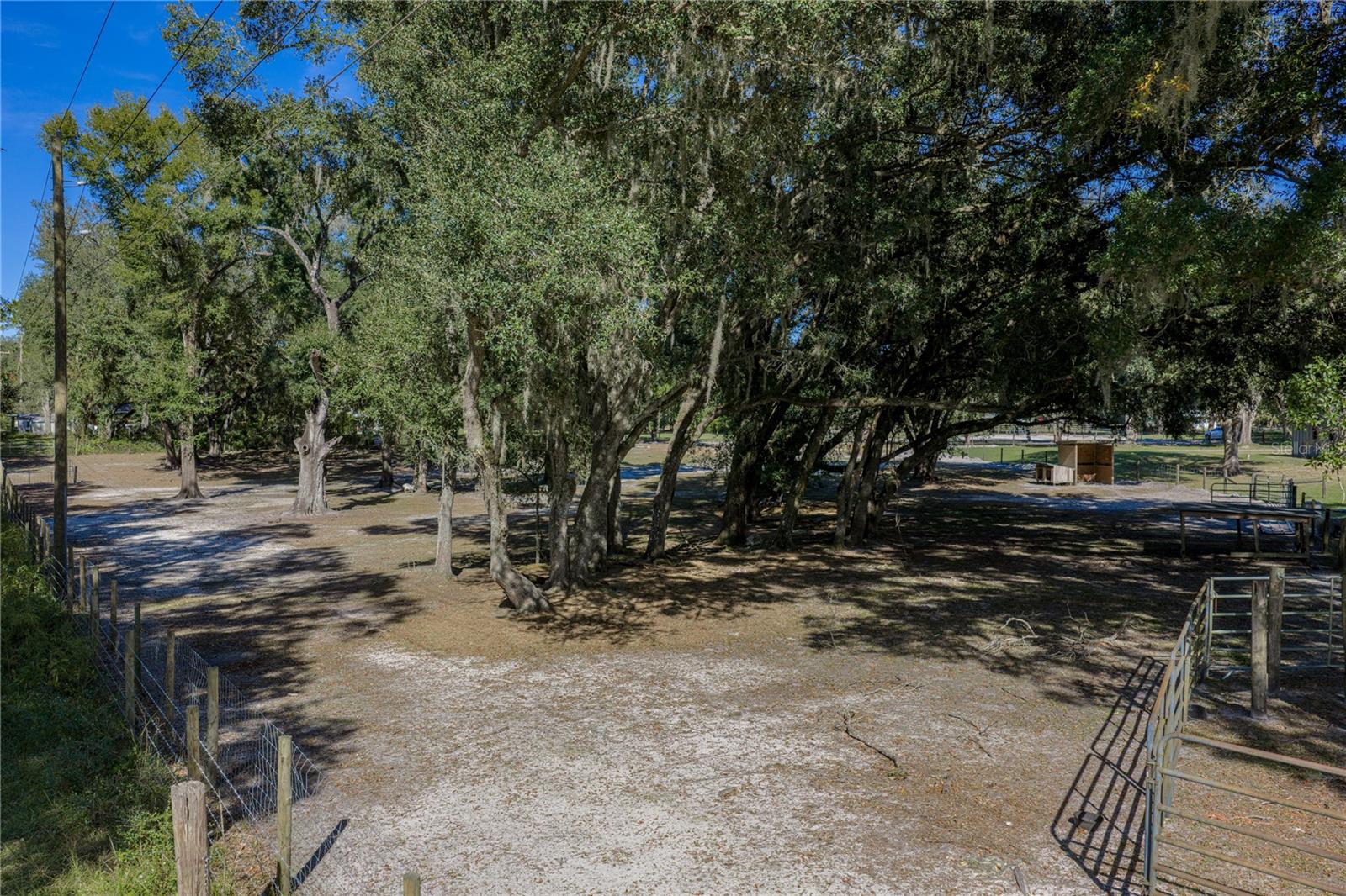 Listing Photo 92