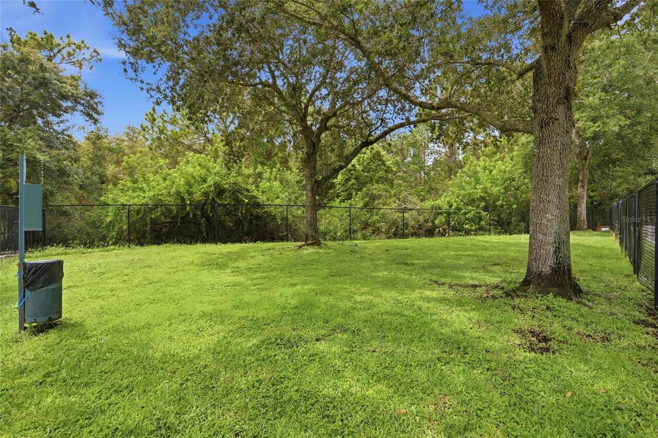 Listing Photo 64