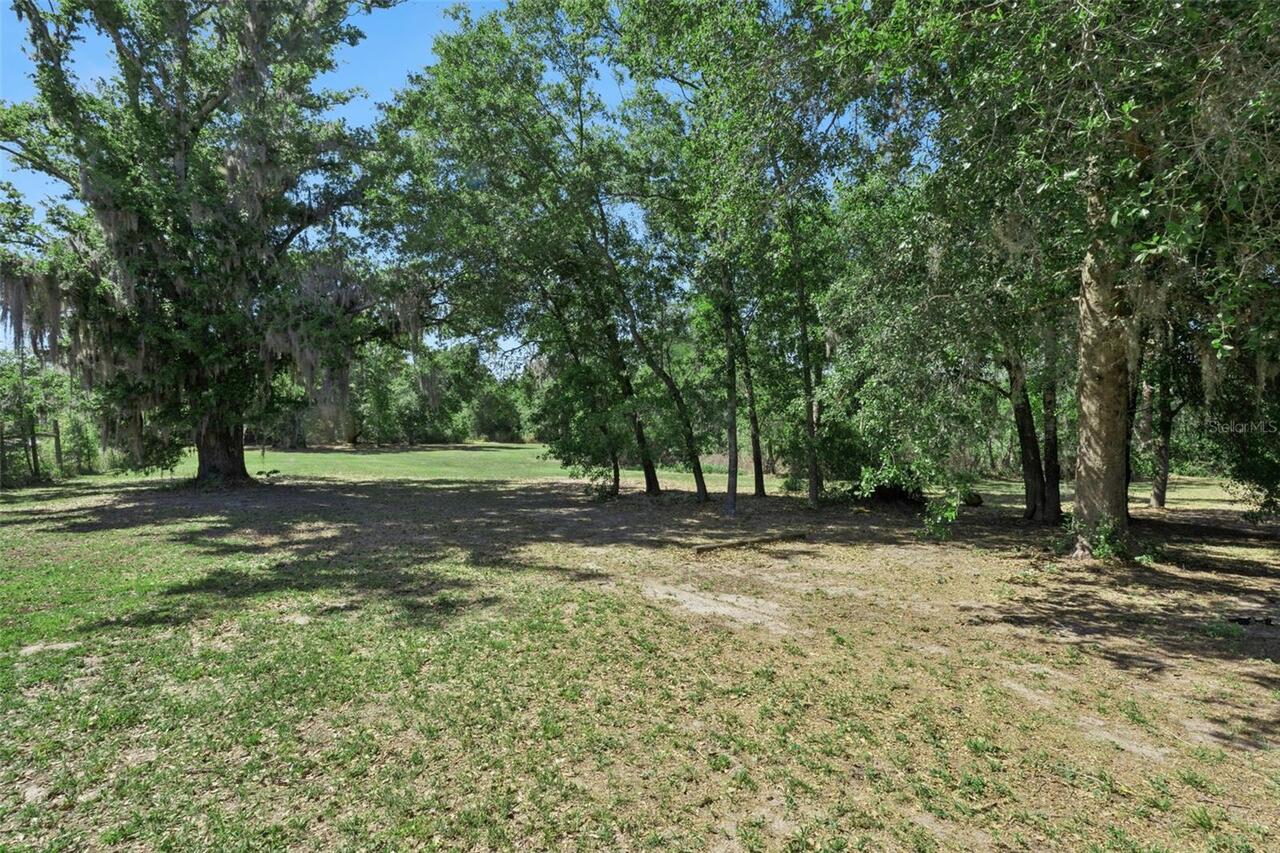 Listing Photo 25