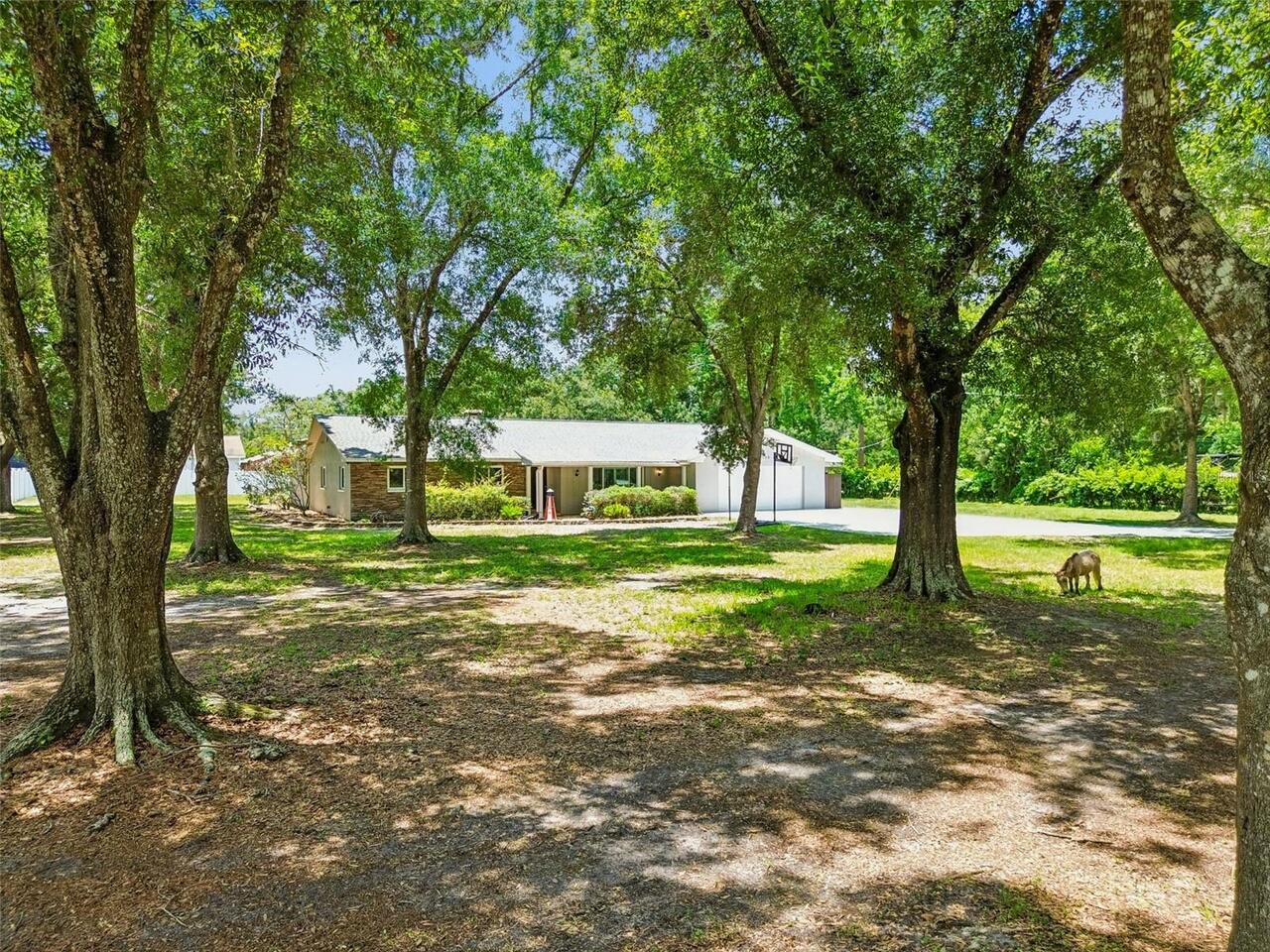 Listing Photo 73