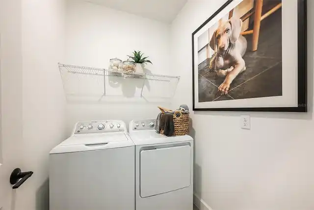 Listing Photo 21