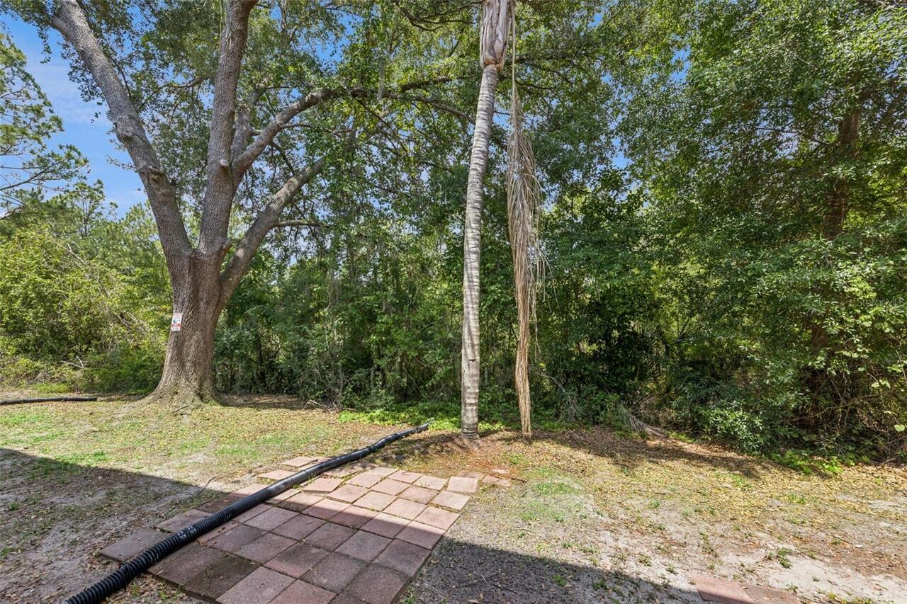 Listing Photo 20