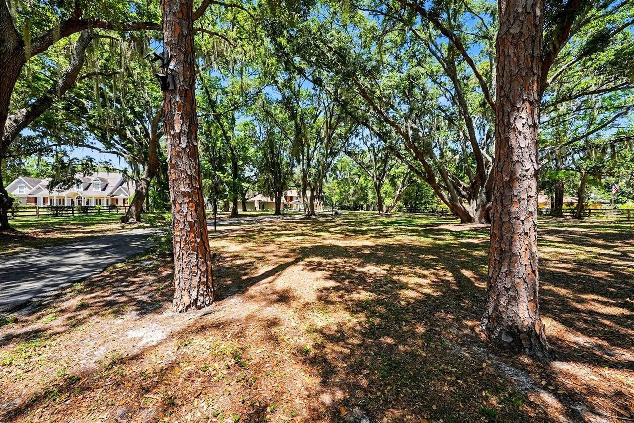 Listing Photo 54