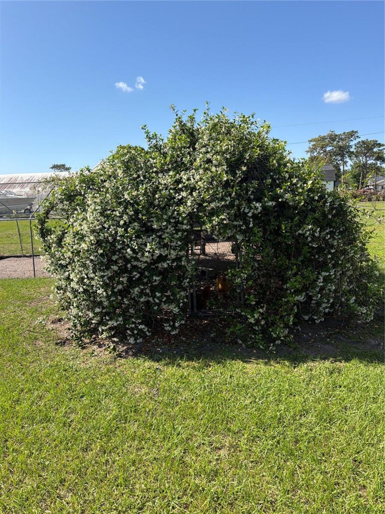 Listing Photo 25