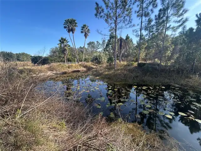 Listing Photo 9