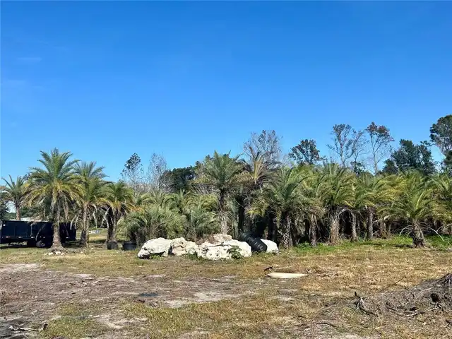 Listing Photo 18