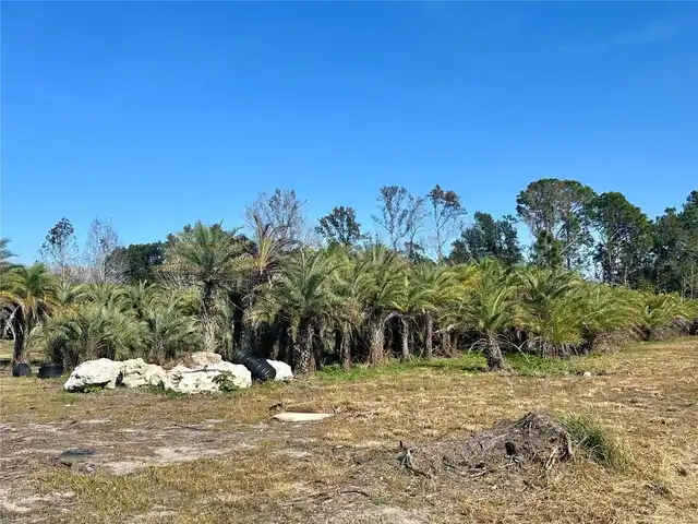 Listing Photo 19