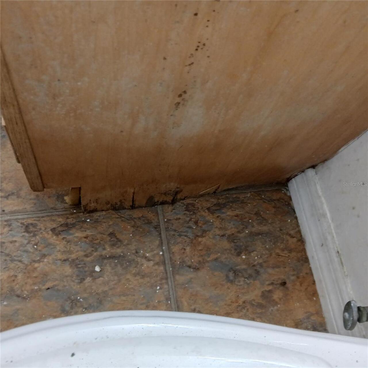 Listing Photo 13