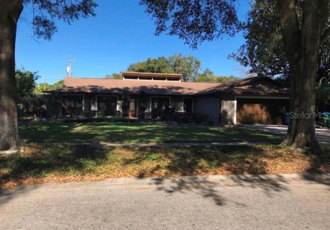 Maitland Real Estate