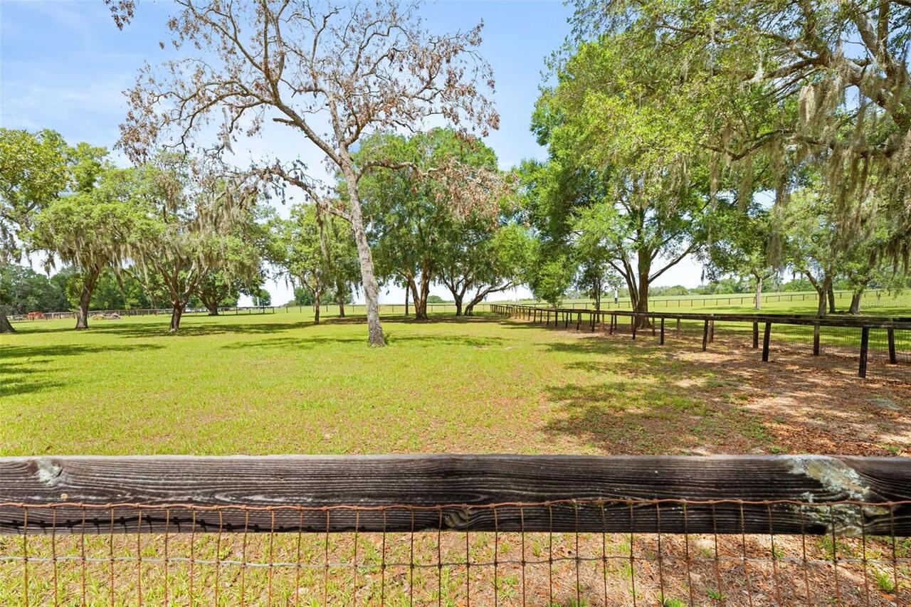 Listing Photo 24