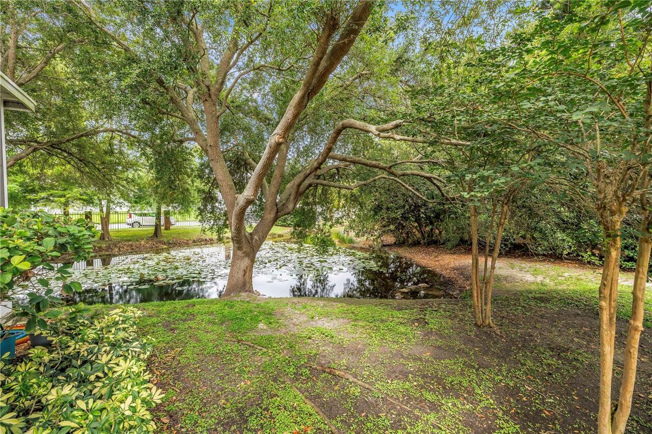 Listing Photo 41