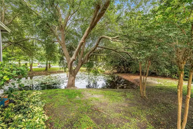 Listing Photo 43