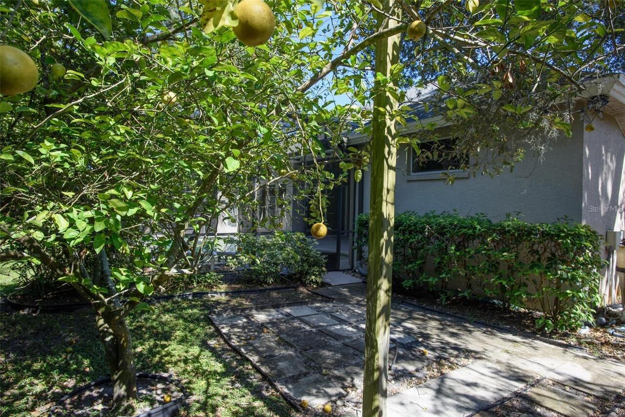 Listing Photo 23