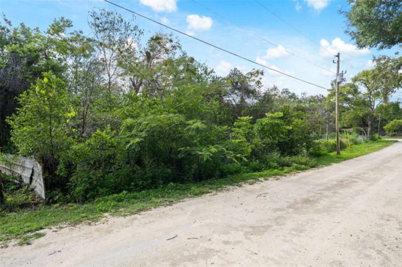 Listing Photo 17
