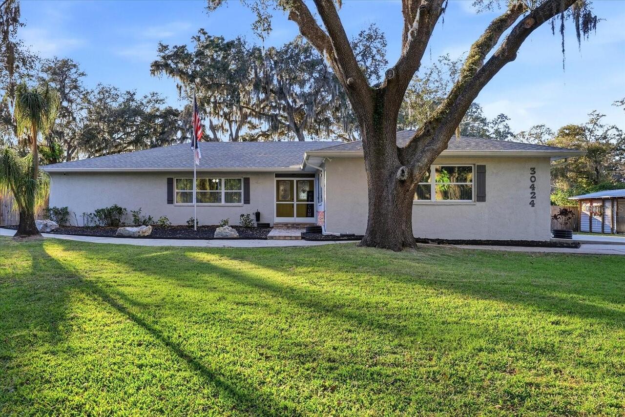Wesley Chapel Real Estate