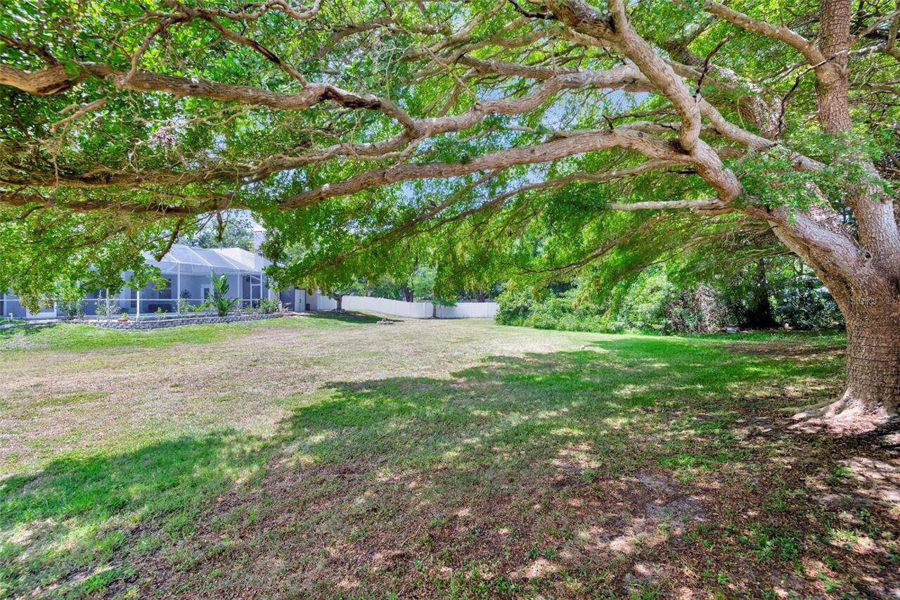 Listing Photo 38